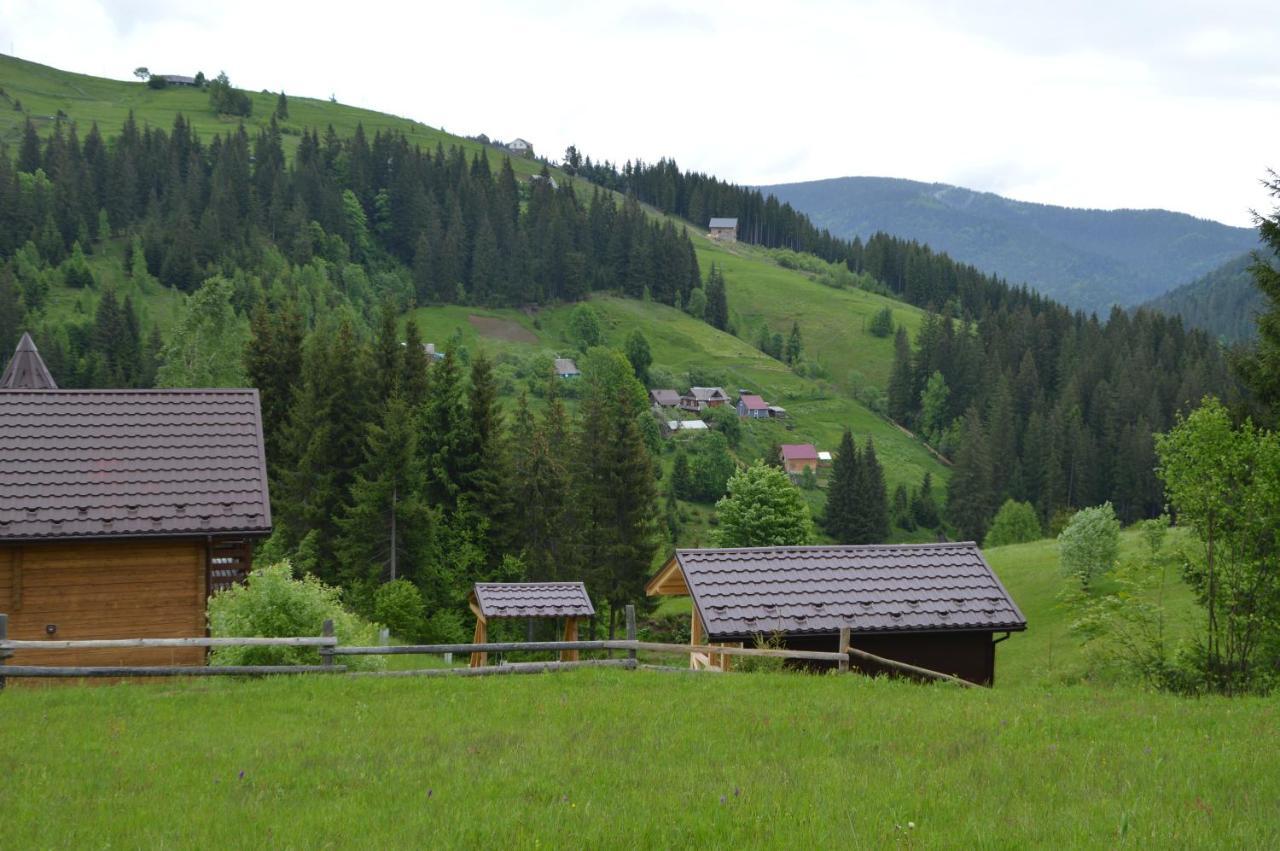 Пагорб Їжака / Hedgehog Hill Villa Yablunytsya Luaran gambar