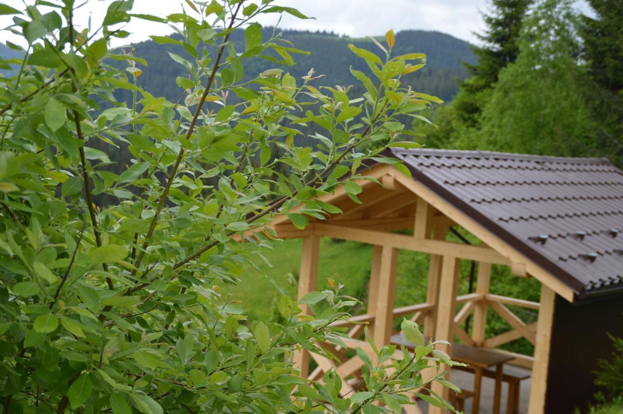 Пагорб Їжака / Hedgehog Hill Villa Yablunytsya Luaran gambar